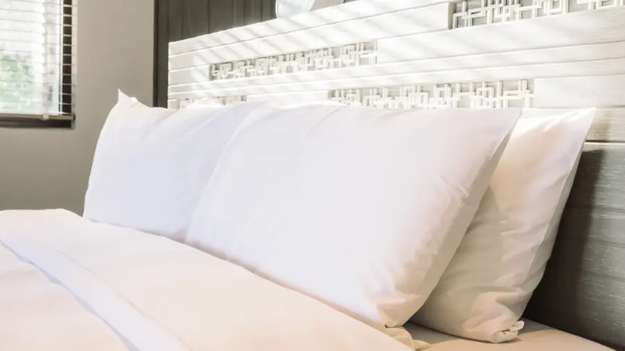 what pillows do hotel use?