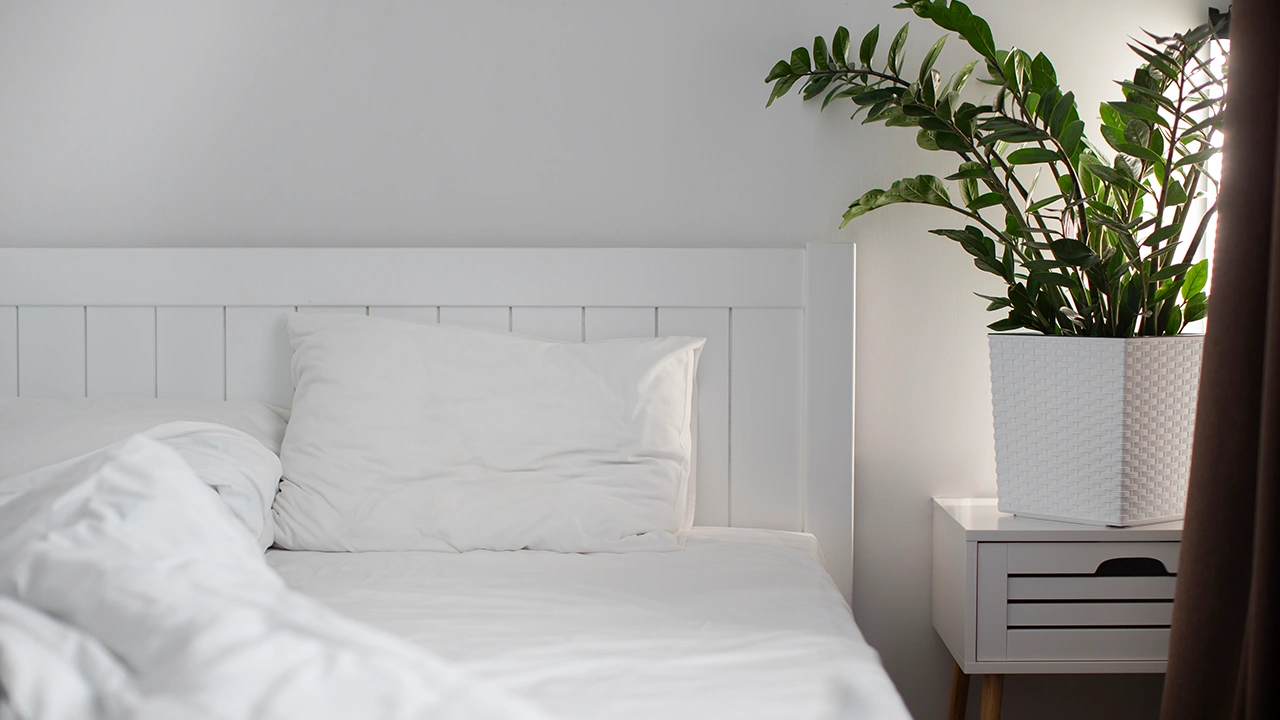 hotel Bed sheets