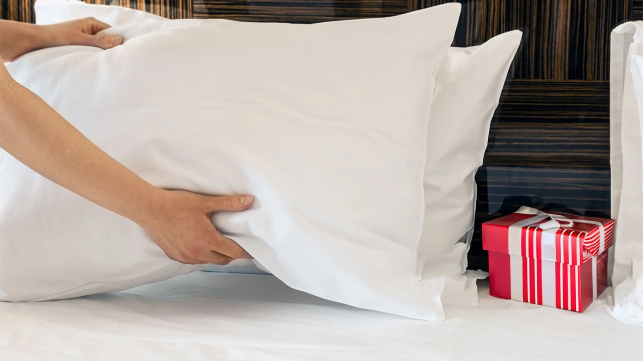 Hotel Pillows