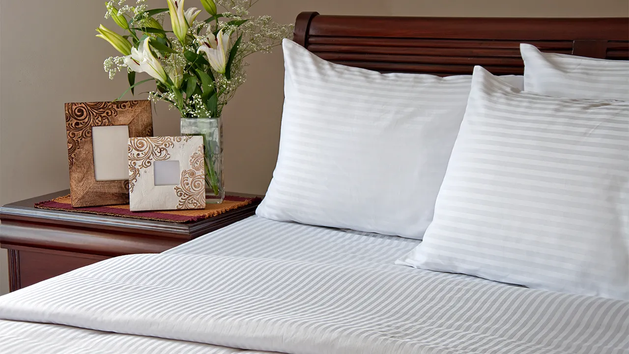 Health-Centric Hotel Pillows