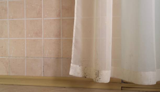 Shower Curtains