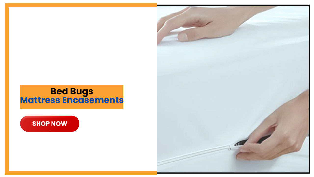 Bed Bug Encasement