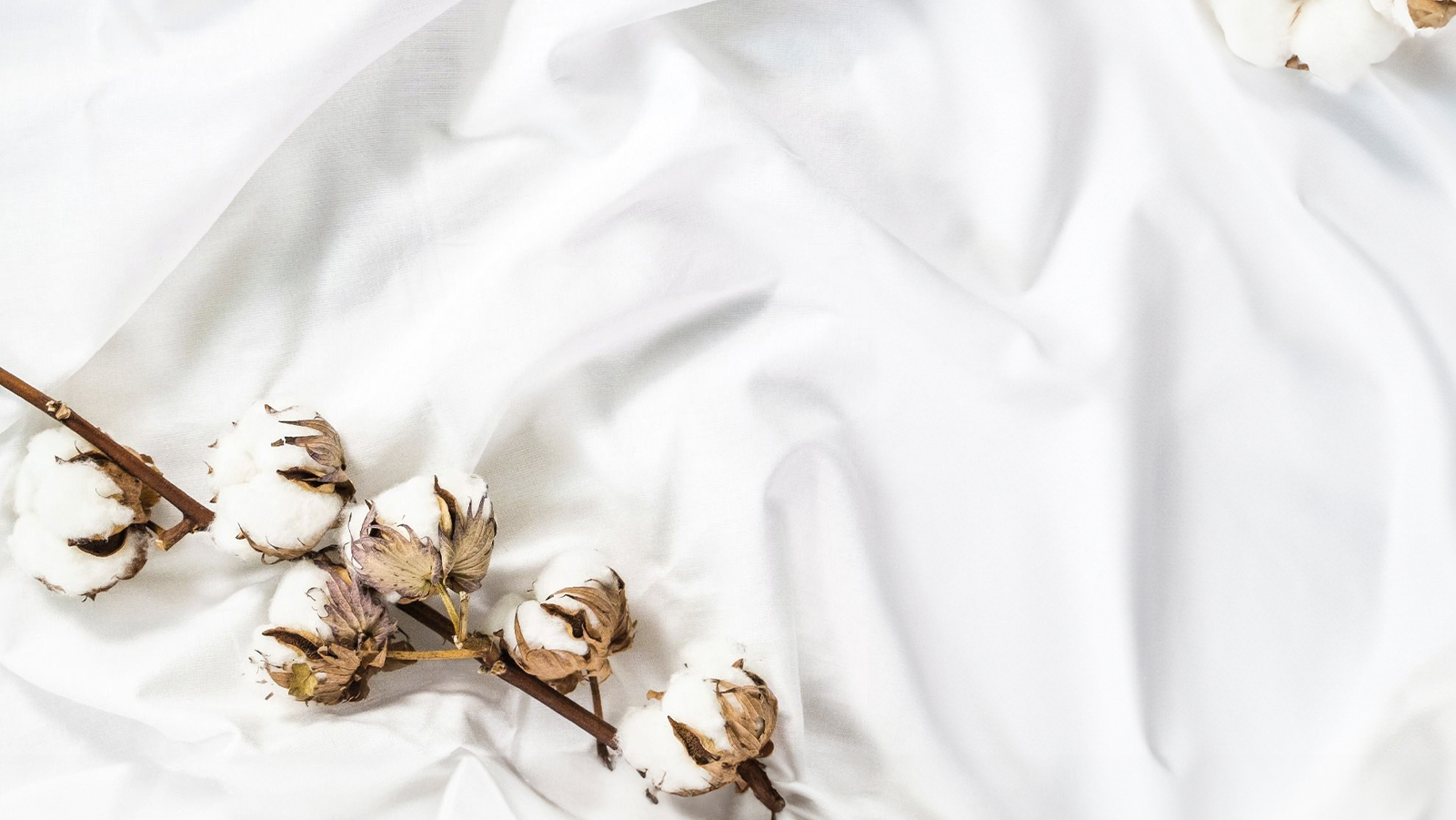 Cotton Bed Sheets