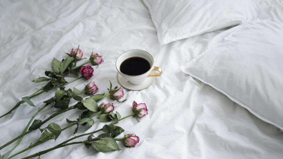 Cotton Sheets