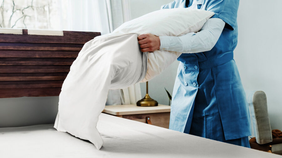 Pillow Protector