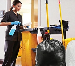 Maid Carts