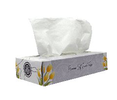  2 Ply Facial Tissue Premium 100 Sheets 30 boxes 