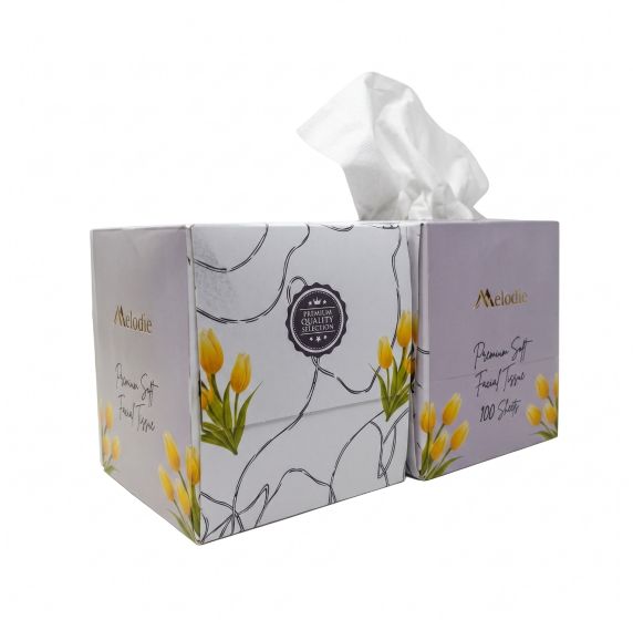 Luxury Cube Facial Tissue 2 Ply 85 sheets - 36 Box/Cs