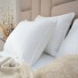 Ryotei Platinum Plus Pillow 20 x 30 Queen 