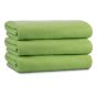 Ryotei Luxury Pool Towel 36x68 18.50 lbs Apple Green