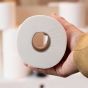 2 Ply Toilet Paper Platinum 500 Sheets 80 Rolls