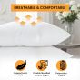 Belem Standard Pillows 20x26 - Pack of 6
