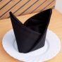 Napkins 20x20 Black Polyester Hemmed