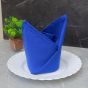 Napkins 20x20 Blue Polyester Hemmed