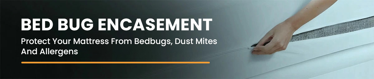 Bed Bug Encasements